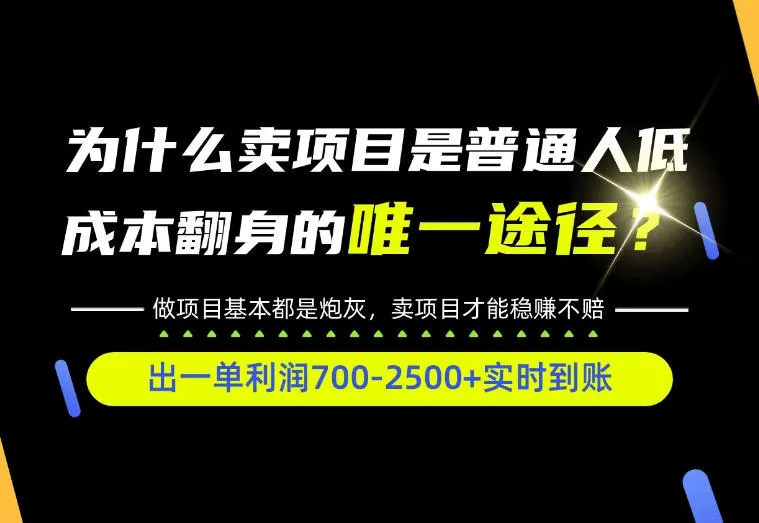 普通人如何靠互联网賺取自己的第一桶金!全类目实操型教学,看完你全都懂了!【揭秘】-小优资源网