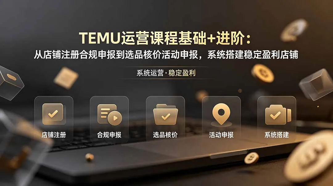 TEMU运营课程(基础+进阶-小优资源网