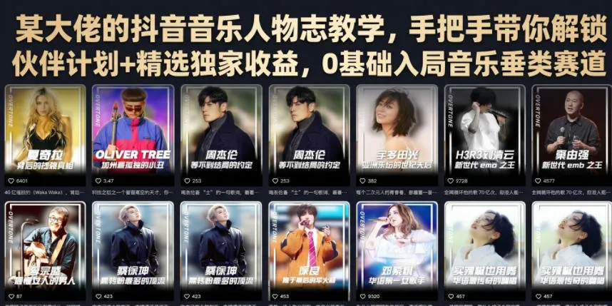 某大佬的抖音音乐人物志教学，手把手带你解锁伙伴计划+精选独家收益，0基础入局音乐垂类赛道-小优资源网