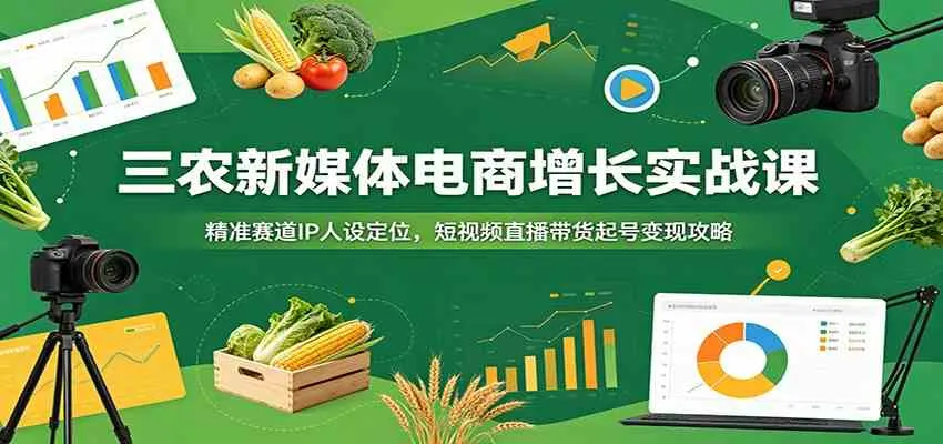 三农新媒体电商增长实战课：精准赛道IP人设定位，短视频直播带货起号变现攻略-小优资源网