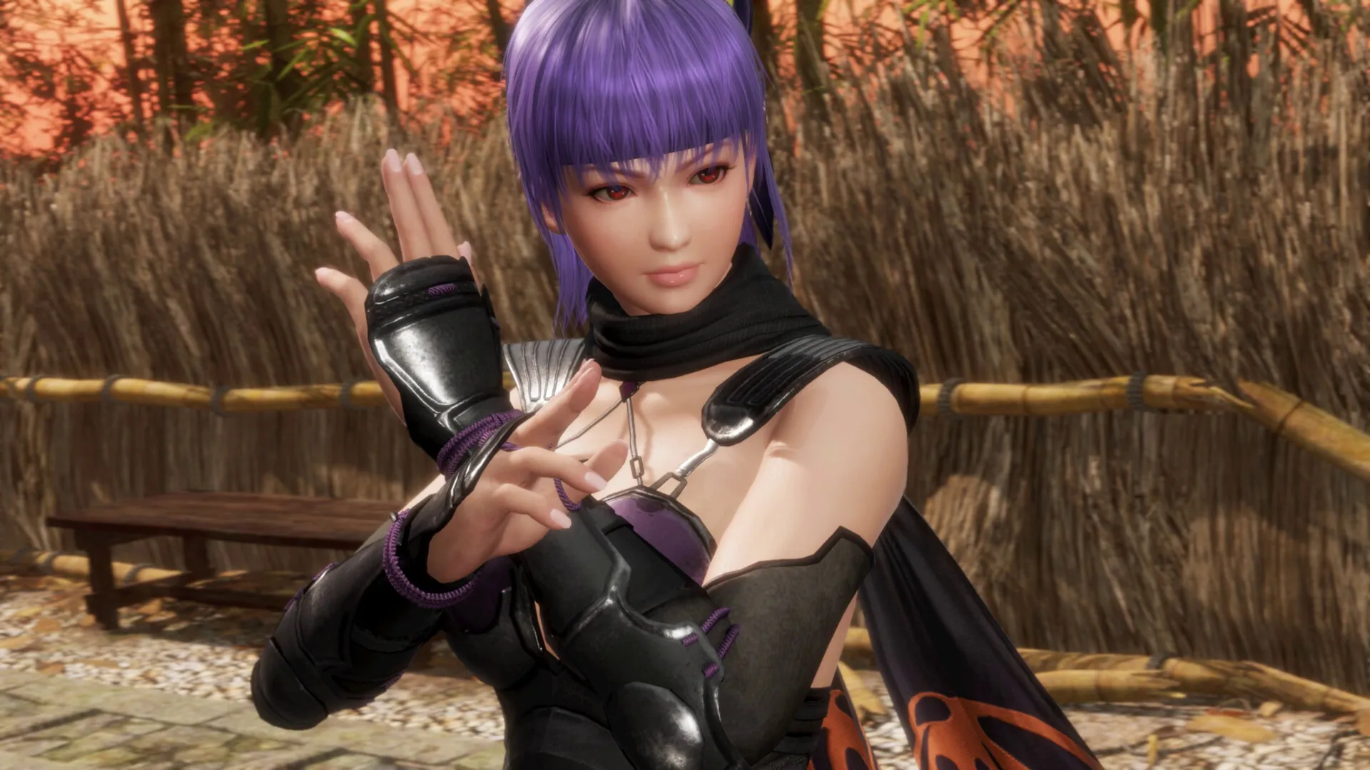 死或生6：最后一战/DEAD OR ALIVE 6 Last Round