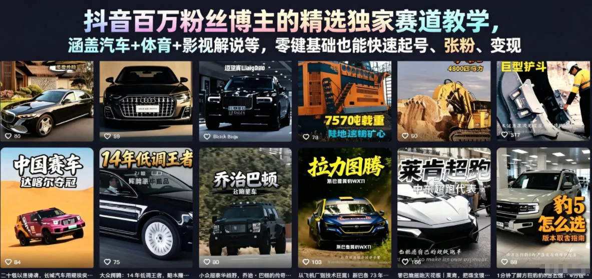 抖音百万粉丝博主的精选独家赛道教学，涵盖汽车+体育+影视解说等，零基础也能快速起号、涨粉、变现（更新0701）-小优资源网