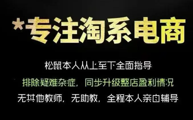 松鼠会电商VIP课程，从基础布局到高阶优化，助你掌握淘宝运营逻辑，提升店铺流量与转化（更新0910）-小优资源网