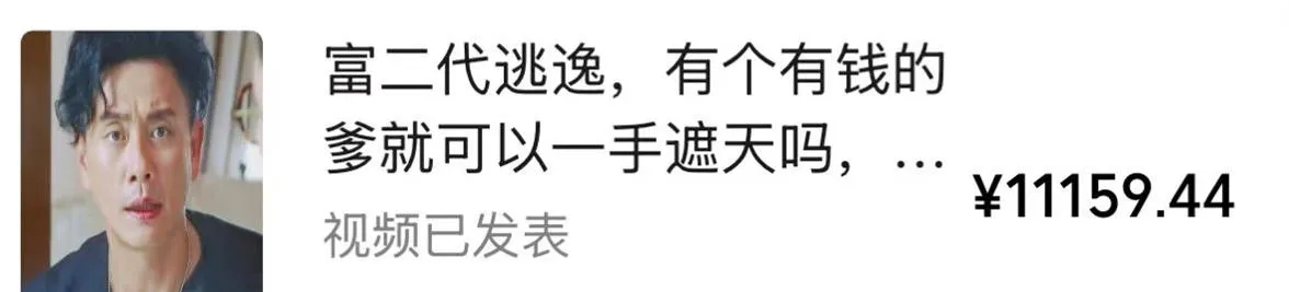视频号某大佬的影视搬运教学,纯手法操作,可以多个平台可以发布,撸分成计划+伙伴计划+光合计划收益等 视频号某大佬的影视搬运教学,纯手法操作,可以多个平台可以发布,撸分成计划+伙伴计划+光合计划收益等