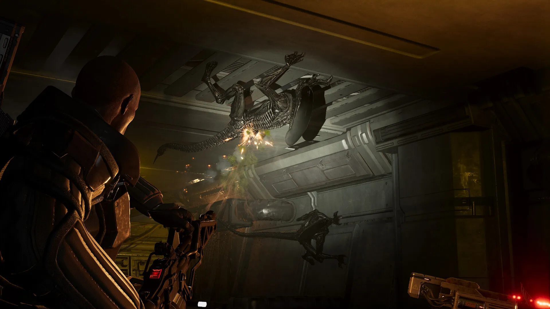 异形:火力精英2/Aliens: Fireteam Elite 2 版本更新 异形:火力精英2/Aliens: Fireteam Elite 2 版本更新