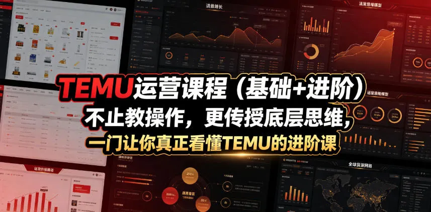 TEMU运营课程(基础+进阶)，不止教操作，更传授底层思维，一门让你真正看懂TEMU的进阶课-小优资源网
